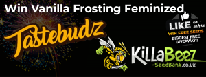 Win Vanilla Frosting Feminized